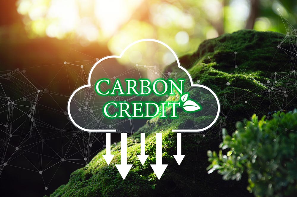 How Decarbonization Targets Are Driving a New Wave of PID and APC Investment in 2026